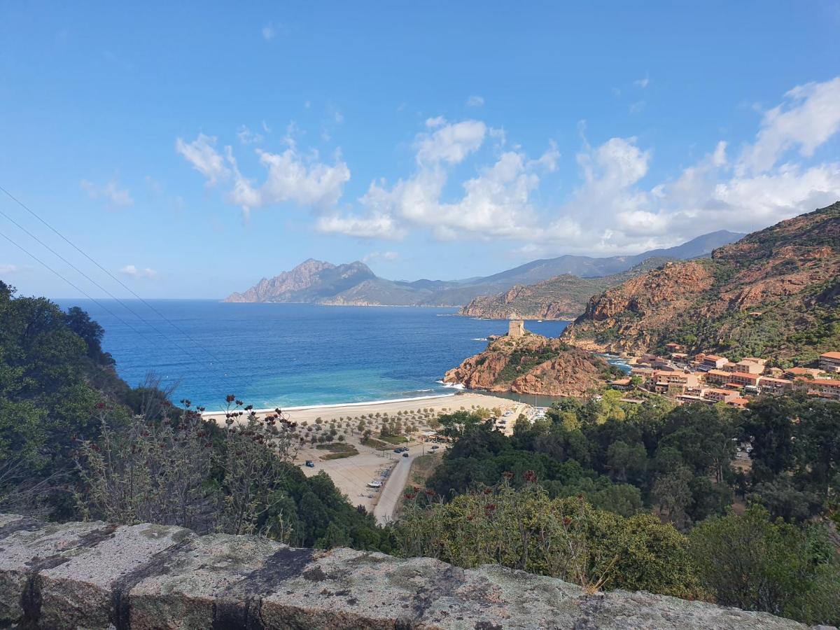 Villa Les Palmiers -Stretta Di I Mandarini Lucciana  Exterior foto